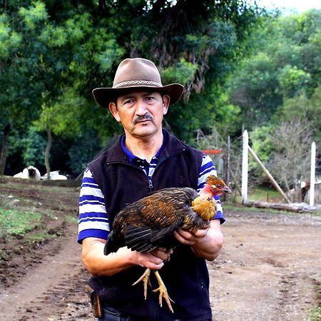 Cabanas Huilipan Gonzalez Nueva Imperial Kültér fotó