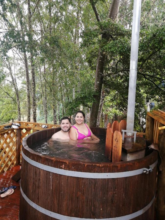 Cabanas Huilipan Gonzalez Nueva Imperial Kültér fotó