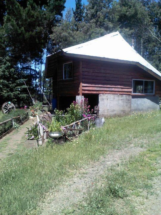 Cabanas Huilipan Gonzalez Nueva Imperial Kültér fotó